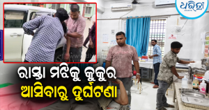 ଟ୍ୟୁସନ ସାରି ଘରକୁ ଫେରୁଥିଲେ, ସ୍କୁଟି ଆଗକୁ ଚାଲିଆସିଲା କୁକୁର: ନାବାଳକ ଗୁରୁତର, ମାନବିକତା ଦେଖାଇଲେ…