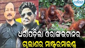 ଧରାପଡ଼ିଲା ଓରାଙ୍ଗଉଟାନର ଚାଲାଣର ମାଷ୍ଟରମାଇଣ୍ଡ୍‌: ଏହି ୨ ଜଣ କରୁଥିଲେ…