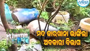 ଦୁର୍ଗମ ଜଙ୍ଗଲରେ ଚଢାଉ: ମଦ କାରଖାନା ଭାଙ୍ଗିଲା ଅବକାରୀ ବିଭାଗ, ୧୯ ହଜାର ଲିଟର ମଦ ପୋଚ * ୧୧ ଶହ ଲିଟର ଦେଶୀ ମଦ ଜବତ