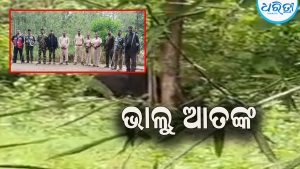 ଏକମ୍ବା ଗ୍ରାମରେ ଭାଲୁ ଆତଙ୍କ