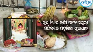ନୂଆଁଖାଇ ଲାଗି ପାଟଣେଶ୍ୱରୀ ମନ୍ଦିରରେ ପହଞ୍ଚିଲା ନୂଆ ଧାନ
