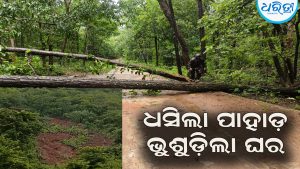 ଲଗାଣ ବର୍ଷାରେ ବେହାଲ ଥୁଆମୂଳ ରାମପୁର: ଧସିଲା ପାହାଡ଼, ଗଛ ପଡ଼ି ରାସ୍ତା ଅବରୋଧ