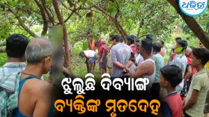 କାଜୁ ବୁଦାରେ ଝୁଲୁଛି ଦିବ୍ୟାଙ୍ଗ ବ୍ୟକ୍ତିଙ୍କ ମୃତଦେହ: ଖେଳିଗଲା ଚାଞ୍ଚଲ୍ୟ