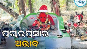 ପ୍ରତିବର୍ଷ ଏକ ବର୍ଗକିଲୋମିଟର ସଙ୍କୁଚିତ ହେଉଛି ମା’ ବରୁଣେଇ ପୀଠ, ପର୍ଯ୍ୟଟକଙ୍କ ପାଇଁ ପାଲଟିଛି ଅପହଞ୍ଚ