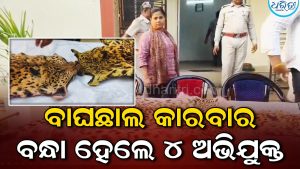 ବାଘଛାଲ କାରବାର ଘଟଣାର ୪ ଅଭିଯୁକ୍ତ ଗିରଫ, କେତେଦୂର ଲମ୍ବିଛି ଚେର, ଜାରି ରହିଛି ଖୋଳତାଡ଼