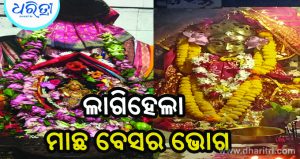 ମହାଗୌରୀ ବେଶରେ ଦର୍ଶନ ଦେଲେ ମା’ଉଗ୍ରତାରା, ନାରାୟଣୀ