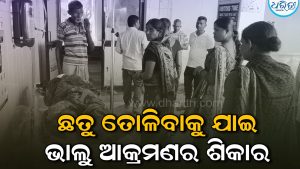 ଛତୁ ତୋଳିବାକୁ ଯାଇ ଭାଲୁ ହାବୁଡ଼ରେ ପଡ଼ିଗଲେ ମହିଳା, ଆଉ ତା’ ପରେ…