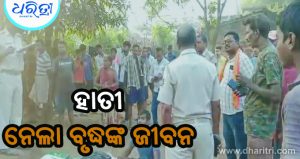 ଘର ଆଗରେ ବୃଦ୍ଧଙ୍କୁ ଦଳିଦେଲା ହାତୀ