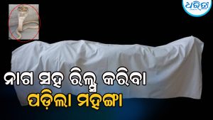 ନାଗସାପ ସହ ରିଲ୍ସ କରିବାବେଳେ ମାରିଲା ଚୋଟ, ଚାଲିଗଲା ଯୁବକଙ୍କ ଜୀବନ