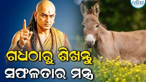 ସଫଳତା ପାଇବା ପାଇଁ ଗଧଠାରୁ ଶିଖନ୍ତୁ ଏହି ୩ ଗୁଣ, ବଦଳିଯିବ ଜୀବନ…