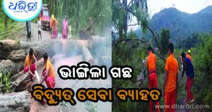 ବାତ୍ୟା ଅର୍ଣ୍ଣବ ପ୍ରଭାବ, ଉପୁଡ଼ି ପଡ଼ିଲା ଗଛ, ଛିଣ୍ଡିଲା ବିଦ୍ୟୁତ୍‌ ତାର