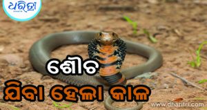 କେନାଲକୁ ଶୌଚ ଯିବା ହେଲା କାଳ, ବାଟରେ…
