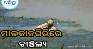 ନଦୀରେ ଭାସୁଥିଲା ଅଖା,  ଭିତରୁ ଯାହା ମିଳିଲା…