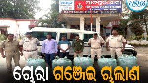 ବୋଲେରୋରେ ଚାଲିଥିଲା ଗଞ୍ଜେଇ ଚାଲାଣ: ୩ ଜଣଙ୍କୁ ମାଡ଼ିବସିଲା ପୋଲିସ