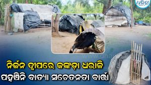 ମାଡ଼ି ଆସୁଛି ବାତ୍ୟା ଅର୍ଣ୍ଣବ: ନିର୍ଜନ ଦ୍ୱୀପରେ ଆଶ୍ରୟ ନେଇଛନ୍ତି ୨୦ରୁ ଅଧିକ କଙ୍କଡ଼ା ଧରାଳି, ପହଞ୍ଚିନି ସଚେତନତା ବାର୍ତ୍ତା