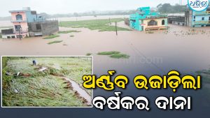 ଛେଚୁଛି ବର୍ଷା: ପାଣିରେ ବୁଡ଼ିଲା ଚାଷଜମି, ଚିନ୍ତାରେ ଚାଷୀ