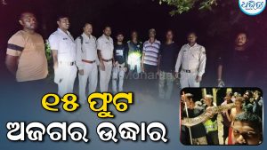 ମଦନ ସାମନ୍ତଙ୍କ ବାଡ଼ିରେ ୧୫ ଫୁଟର ଅଜଗର: ଲୋକେ ଦେଖି ଛାନିଆ