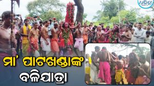 ତେରେସିଂହାରେ ଧୁମ୍‌ଧାମରେ ସମ୍ପନ୍ନ ହେଲା ମା’ ପାଟଖଣ୍ଡାଙ୍କ ବଳିଯାତ୍ରା