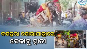 ଦଶହରା ଶୋଭାଯାତ୍ରାରେ ଉତ୍ତେଜନା! ହଠାତ୍ ଉଗ୍ର ହେଲା ହାତୀ, ଦୌଡିଦୌଡି….