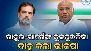 ମୋଦିଙ୍କ ପରିବାରକୁ ନେଇ ଖାର୍ଗେଙ୍କ ମନ୍ତବ୍ୟରେ ବିବାଦ, କଂଗ୍ରେସକୁ ଘେରିଲେ ମନମୋହନ ସାମଲ