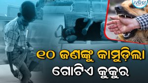 ୧୦ ଜଣଙ୍କୁ କାମୁଡ଼ିଲା ଗୋଟିଏ କୁକୁର, ଡାକ୍ତରଖାନାରେ ଭିଡ଼