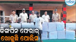 ଦଶହରା ପୂର୍ବରୁ କଫ ସିରପ୍‌ କାରବାର ଠାବ: ୩୧୫୬  ବୋତଲ କଫ୍‌ ସିରପ ସହ ଜଣଙ୍କୁ ମାଡ଼ିବସିଲା ପୋଲିସ