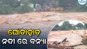 ଘୋଡ଼ାହାଡ଼ ନଦୀରେ ବନ୍ୟା: ପଳାଶପୁର ବ୍ରିଜ୍‌ ଉପରେ ୪ ଫୁଟ୍‌ର ପାଣି, ଆସିକା-ଦିଗପହଣ୍ଡି-ପାଟପୁର ଯୋଗାଯୋଗ ବିଚ୍ଛିନ୍ନ