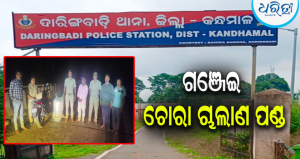 ଦାରିଙ୍ଗବାଡିରେ ପୋଲିସ ପାଟ୍ରୋଲିଂ ବେଳେ ଧରାପଡ଼ିଲେ ଗଞ୍ଜେଇ ବେପାରୀ; ୨୩ କେଜିରୁ ଅଧିକ ଗଞ୍ଜେଇ ଜବତ