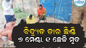 ବର୍ଷା ପବନରେ ଛିଡ଼ିଲା ବିଦ୍ୟୁତ୍‌ତାର, ୬ ମେଣ୍ଢା ସହ ଗୋଟିଏ ଛେଳିର ଜୀବନ ଗଲା