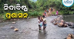 ମୁଖ୍ୟମନ୍ତ୍ରୀଙ୍କ ଅଭିଯୋଗ ଶୁଣାଣି ପରେ ବି ବଦଳିନି ଭାଗ୍ୟ: ଗୁଡ଼ାରିରେ ପୋଲ ନଥିବାରୁ ନାଳରେ ବୁହାହେଲେ ରୋଗୀ