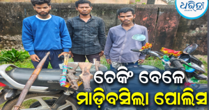 ନାକା ଚେକିଂ ବେଳେ ଘଟଗାଁ ପୋଲିସକୁ ବଡ଼ ସଫଳତା: ୨ ଦେଶୀ ବନ୍ଧୁକ, ଧନୁ-ତୀର ସହ ୩ ଶିକାରୀ
