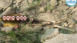 କଙ୍କାଳ ଜବତ, ନିଖୋଜ ମହିଳାଙ୍କ କଙ୍କାଳ ବୋଲି ଅନୁମାନ