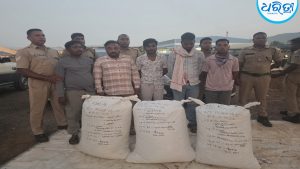 ମହାରାଷ୍ଟ୍ରରେ ଫୁଲବାଣୀ ଗଞ୍ଜେଇର ଚାହିଦା: ସମ୍ମୁଖରୁ ୫ ନିଶା ମାଫିଆଙ୍କୁ ଧରିଲା ଏସ୍‌ଟିଏଫ୍‌