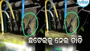 ଟିପିସିଓଡିଏଲ ଆଉଟସୋର୍ସିଂ ଷ୍ଟାଫ୍‌ଙ୍କ ଛଟେଇ ପ୍ରତିବାଦରେ କାର୍ଯ୍ୟବନ୍ଦ ଆନ୍ଦୋଳନ: ଅନ୍ତର୍ଘାତୀ କାର୍ଯ୍ୟକଳାପ ବୃଦ୍ଧି ଅଭିଯୋଗ