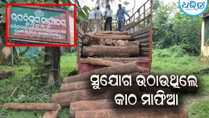 ବଡ଼ ବଡ଼ ଶାଳ ଗଣ୍ଡି ସହ ଟ୍ରକ୍ ଜବତ, ଜଣେ ଅଟକ:  ବନାଞ୍ଚଳରୁ ଚୋରା ଚାଲାଣ ବେଳେ ମାଡ଼ି ବସିଲା ….