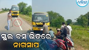 ଚଳନ୍ତା ସ୍କୁଲ ବସ୍‌ରେ ନାଗସାପ, ଡ୍ରାଇଭରଙ୍କ ପାଦରେ ଗୁଡ଼ାଇ ହୋଇଯିବା ପରେ…