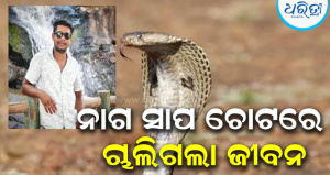 ମୃତ୍ୟୁ ସହ ୧୦ ଦିନର ସଂଗ୍ରାମ ପରେ ହାରିଗଲେ ସଞ୍ଜୟ: ନାଗ ସାପ ଚୋଟରେ ଚାଲିଗଲା ୨୮ ବର୍ଷର ଉଦ୍ଦଣ୍ଡ ଯୁବକଙ୍କ ଜୀବନ