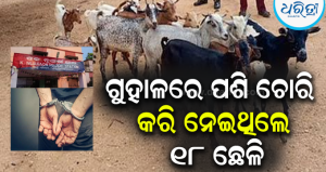 ପାଟ୍ରୋଲିଂ ବେଳେ କାର୍‌ ଡିକିରୁ ଆସିଲା ଛେଳି ଗନ୍ଧ, ଧରାପଡ଼ିଲେ ୪ ଚୋର; କାର୍‌-ଖଣ୍ଡା ଜବତ…