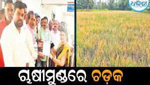 ବରଗଡ଼ରେ ବନ୍ଦକୁ ସ୍ବତଃସ୍ଫୂର୍ତ୍ତ ସମର୍ଥନ: ଗାଡ଼ି ଚଳାଚଳ ଠପ୍‌