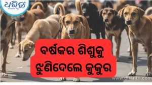ଶୋଇଥିଲେ ବର୍ଷକର ଶିଶୁ; ଘରେ ପଶି ମୁହଁକୁ ଝୁଣିଦେଲା କୁକୁର, ତାପରେ….