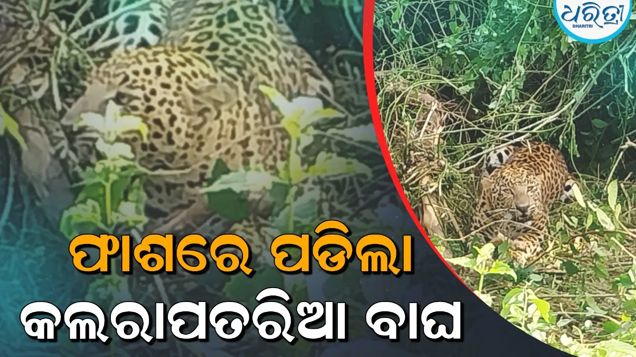 WhatsApp Image 2025 12 09 At 12.39.44 PM