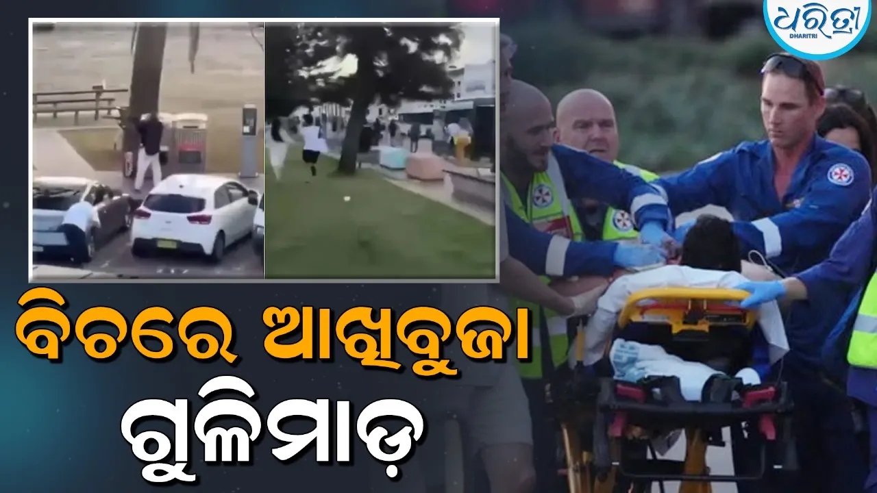 WhatsApp Image 2025 12 14 At 3.37.03 PM